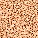 Выпечка краска стеклянные бусины SEED-T006-03E-2