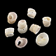 Perles de coquillage en spirale naturelle SSHEL-R036-01-1