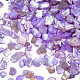 Rodajas de conchas naturales de agua dulce MRMJ-N026-003-07-1