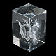 Figura de vidrio animal con grabado láser 3d. DJEW-R013-01D-5