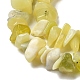 Natural Lemon Jade Chip Bead Strands G-M205-22-4