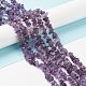 Natural Amethyst Beads Strands F014-1-4