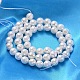 Shell Pearl Beads Strands SP034-8mm-2
