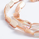 Chapelets de perles en coquillage naturel SSHEL-L016-14-2