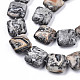 Natural Map Stone/Picasso Stone/Picasso Jasper Beads Strands G-N326-140H-3