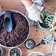 Gorgecraft tartaruga nascondi chiave in ghisa decorazione del giardino diversivo nascondi chiave scatola di immagazzinaggio segreta esterna nascondi un portachiavi nascondiglio sicuro per gioielli chiave earph1 geocaching DJEW-WH0038-46-5