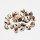 Perles de coquillage en spirale naturelle BSHE-S613-02-2