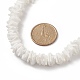 Fragment de coquillage naturel bracelet et collier de perles irrégulières et bracelet de cheville SJEW-JS01264-11