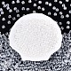 Прозрачное стекло Бисер SEED-N007-33B-01-1