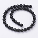 Natural Obsidian Beads Strands G-G099-10mm-24-3