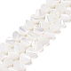 Brins de perles de coquillages naturels de troca SSHEL-H070-06A-1