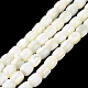 Brins de perles de coquillages naturels de troca BSHE-E030-05A-2