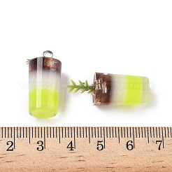 Прозрачные смоляные подвески&nbsp;LS-FIND-Z092-07P-02