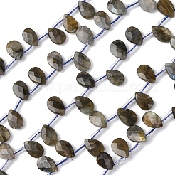 Natur Labradorit Perlen Stränge&nbsp;G-L654-K02-01