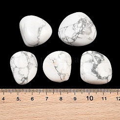 Natürliche Howlith Perlen&nbsp;GG-CBAD0F6-B31-01