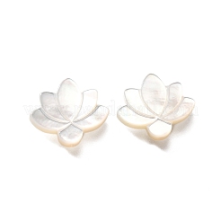 Натуральные белые бусины из ракушек BSHE-Z008-09