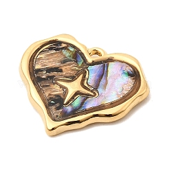 Paua naturale pendenti shell&nbsp;STAS-P431-24G-01