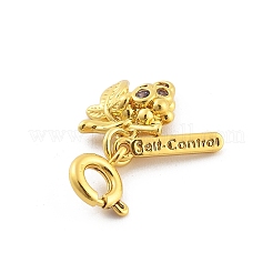 Латунный кулон с фруктами из стразов&nbsp;HJEW-P020-01F-G