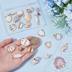 24 шт. 12 стиля подвески из натуральных ракушек с гальваническим покрытием&nbsp;SSHEL-ME0001-06