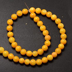 天然淡水シェルラウンドビーズ連売り  染め  きいろ  6mm  穴：1mm  約62個/連  14.5インチ&nbsp;SHEL-M012-05