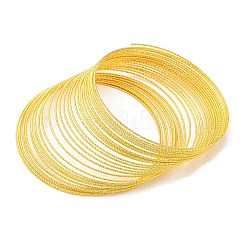 Железная проволока памяти IFIN-E025-03C-G