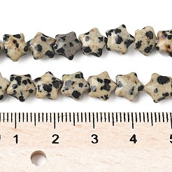 Нити бусин из натуральной далматинской яшмы в форме звезды G-Z080-A08