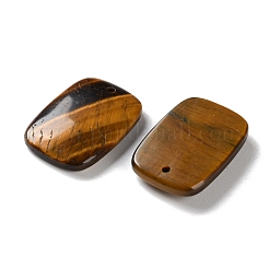 Природных тигровый глаз подвески&nbsp;G-B123-06B