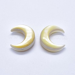 Cabochons coperture gialle naturali&nbsp;SSHEL-P015-80C-20mm