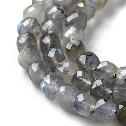 Perline labradorite naturale fili&nbsp;G-M421-B02-01