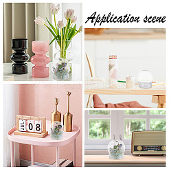 10шт пластиковая коробка AJEW-GA0005-03