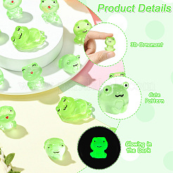 30 Stück 6 Stile leuchtende Harzfrosch-Display-Dekoration&nbsp;DJEW-CJ0001-14