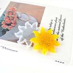 Солнечные силиконовые Молды&nbsp;X-DIY-P025-03