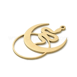 201 pendentifs en acier inoxydable&nbsp;STAS-I332-02G