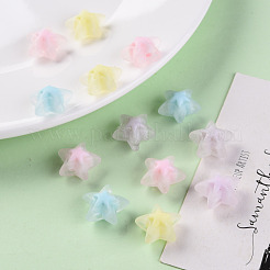 Прозрачные акриловые бусины&nbsp;X-TACR-S152-11C