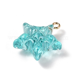 Прозрачные смоляные подвески&nbsp;LS-RESI-Z016-02F-LG