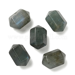 Натуральные смешанные драгоценные камни с двойными концами G-C252-04