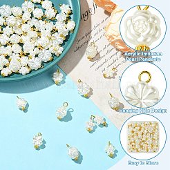 70 шт. 7 стиля акриловых подвесок с имитацией жемчуга&nbsp;PALLOY-CJ00172