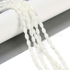 Нити бусин из натуральных пресноводных ракушек BSHE-H109-02