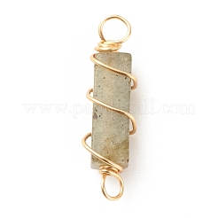 Подвески из натурального лабрадорита&nbsp;PALLOY-JF01580-01