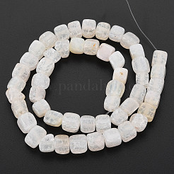 Природные треск агат бисер нитей G-N326-99-B01