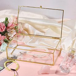 Vitrines à bijoux en verre transparent avec cadre en métal&nbsp;AJEW-WH0410-465A-1