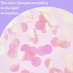 80 г переливающиеся подвески из ПВХ с пайетками/блестками&nbsp;KY-SC0002-49B