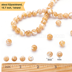 1 нить круглых бусин из натуральной морской ракушки SSHEL-BC0001-19