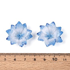 Термоусадочные акриловые колпачки&nbsp;OACR-N155-03C