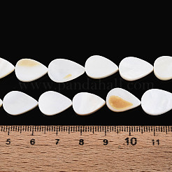 Нити бусин из натуральных пресноводных ракушек SHEL-N038-07