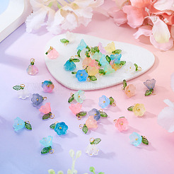 72 Stück 12 Farben Glas & Acryl Blumenanhänger&nbsp;PALLOY-TAC0259