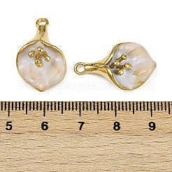 Подвески из нержавеющей стали 304 с эмалью&nbsp;STAS-L290-05G