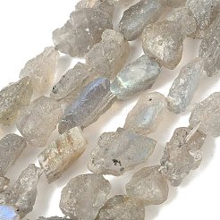 Необработанные необработанные натуральные лабрадоритные бусины&nbsp;LS-G-M453-D14