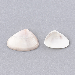 Perle di conchiglia a spirale&nbsp;SSHEL-S251-10