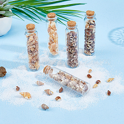 5 стиль бусины из ракушек SHEL-FH0001-23